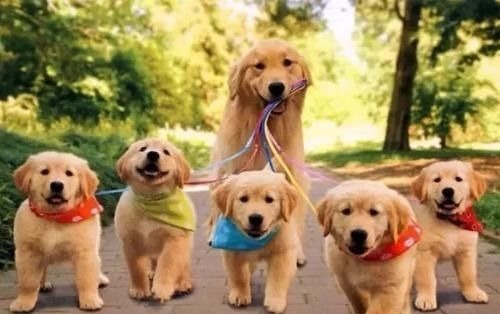 孩子|慈母多败儿?妈妈若具备这4个特征,孩子长大都会很有出息