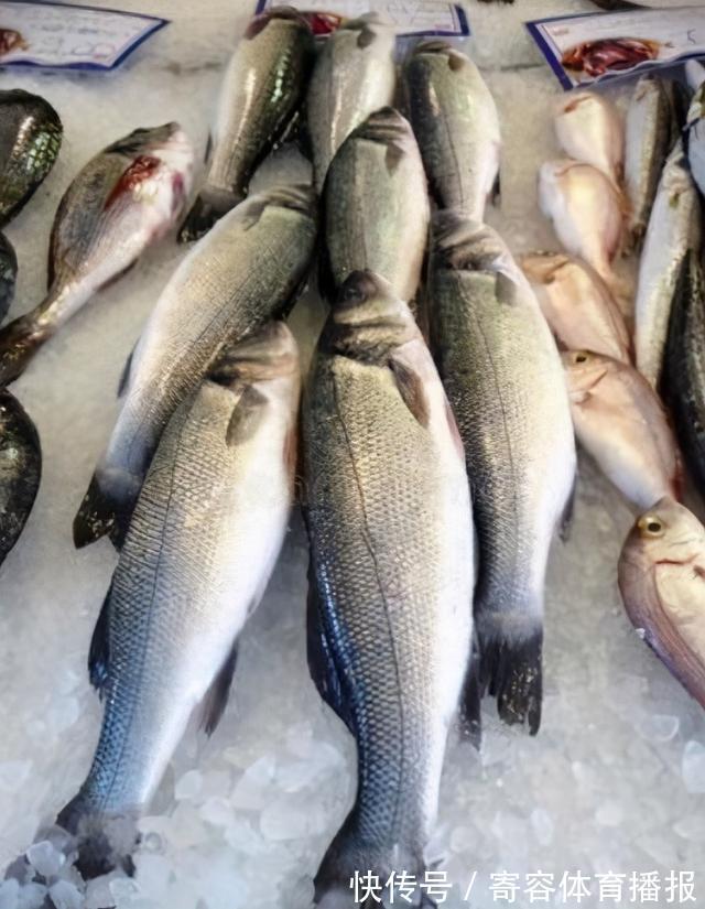 寄生虫|市面上“寄生虫”最多的3种鱼,聪明人从不买,不懂的人经常买