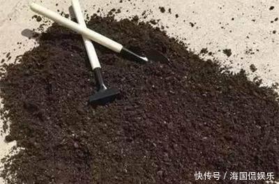 养花|搞来的养花土,少做这一步,养什么花都活不了