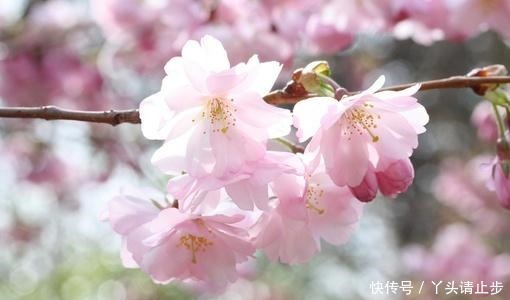  穿透|一段很现实的话，句句穿透人心！