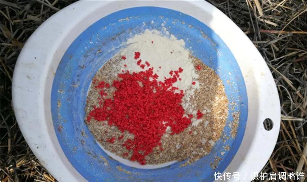 谷雨一到,用饵做到这三点,能钓大鱼,小鱼还不闹窝