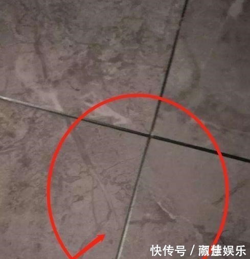 装修|砸58万装修总结26条良心建议!上千万业主栽过跟头!你家别再错了