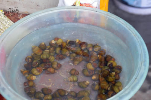 为什么你炒的螺蛳要用牙签才能吃记住2个小窍门,一口吸出螺肉