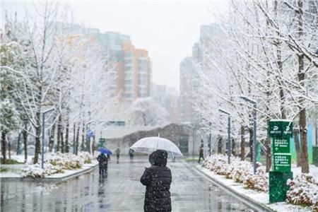 大雪节气|万物冬藏，天地静美