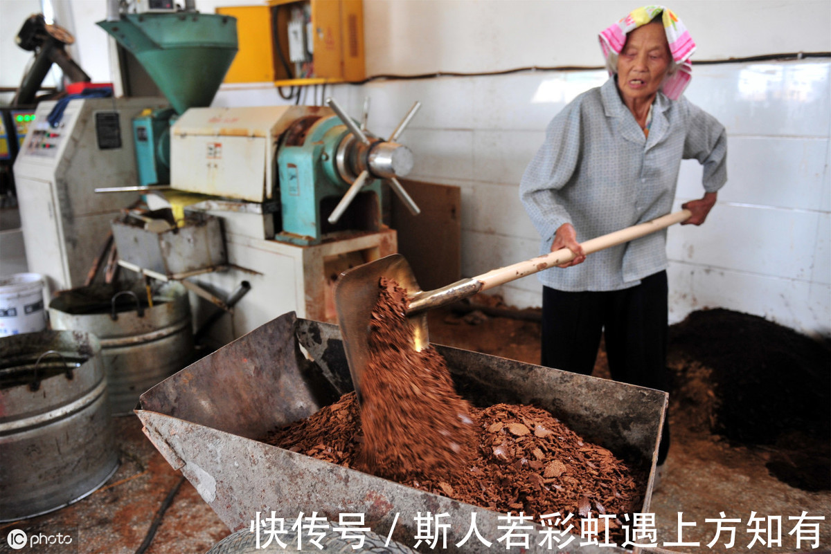 小作坊|一家3口陆续被查出患癌，都是吃他惹的祸，多人家庭有