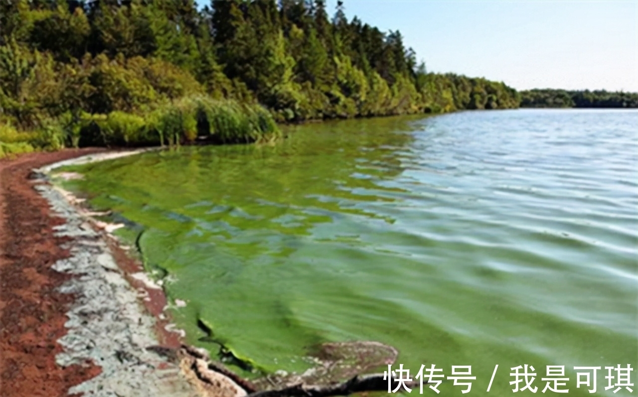 知青@马未都:过去江湖中,还是有身怀绝技之人的,我当知青时就遇见过