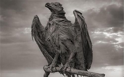  石头|非洲一处红色的湖泊，被称为“血湖”，生物与其接触会变成石头