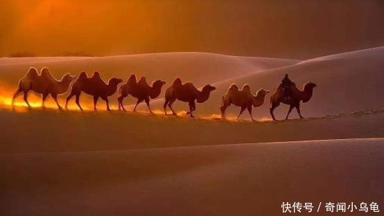 阿拉伯最大沙漠突降大雨,24小时下了9年的雨量,原因为何?