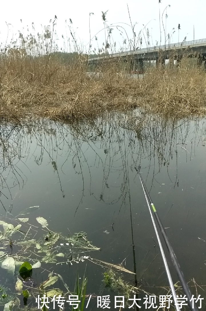 带钩调漂如何调