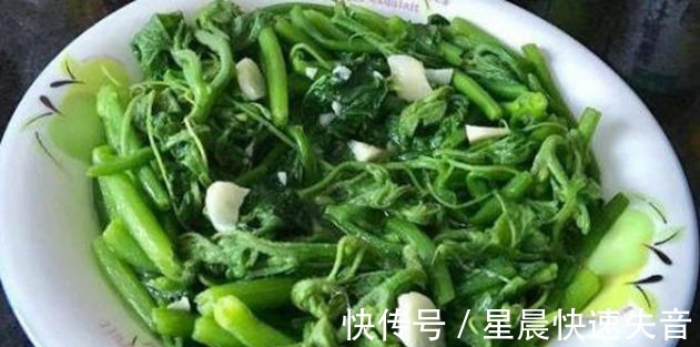 家常菜|小暑过后分享几道好吃不腻的家常菜，色香味美，大人孩子都爱吃！