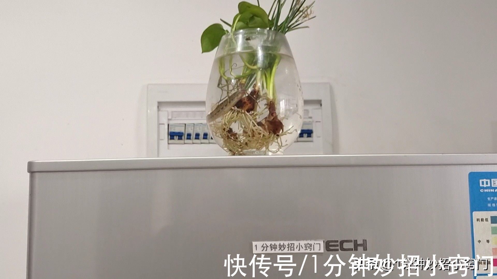 不管家里冰箱有多大,上面别放这三样东西,别不当事,快看看