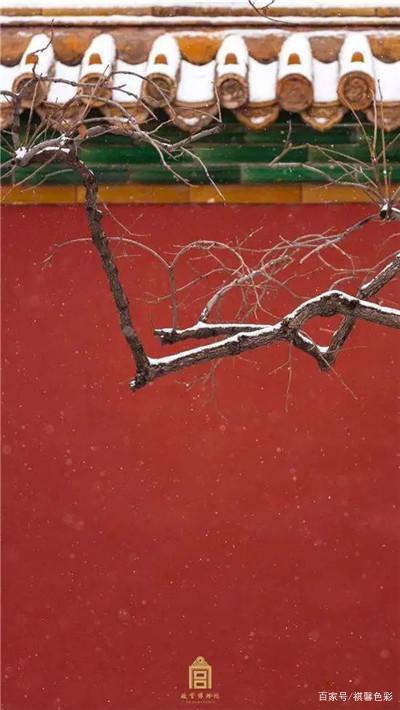 配色中关系疏远却一见就“燃”的3组互补色(红绿篇)