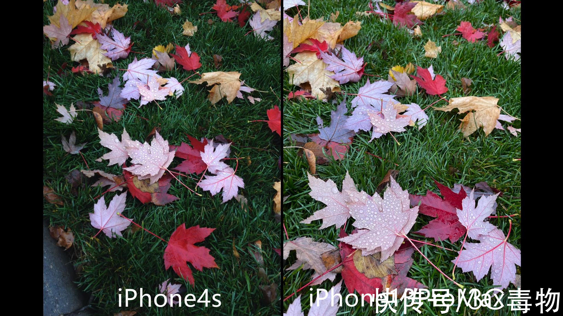 iphone|iPhone4s和iPhone13ProMax拍照对比：单镜头和三镜头有多大区别