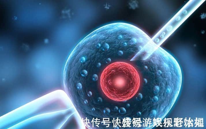 宝宝|“试管婴儿”长大后和正常宝宝有2点不同,试管医生说出了实情