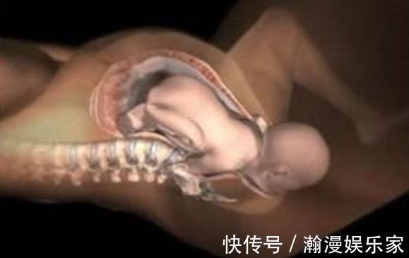 宝宝|顺产分娩时,宝宝咋从产道中爬出来的带你看清全过程,真心不易