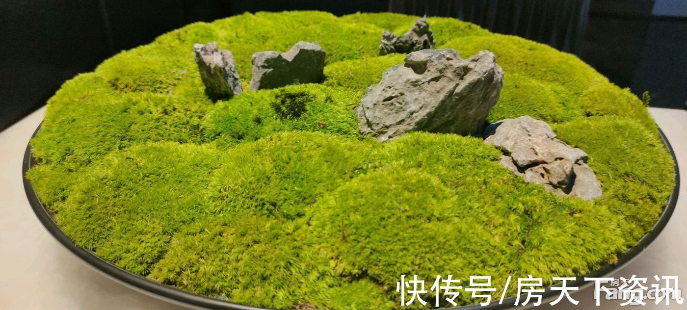 万科|万科东湖堤白怎么样？看置业顾问刘洪涛发布了一条项目新消息