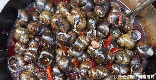 想让田螺沙吐净,只放盐是不行的,多加一勺“它”,田螺狂吐沙