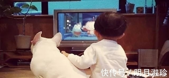 视力|孩子多大可以玩手机、看电视?低于这个年纪,影响的不仅是视力