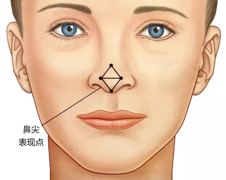 穹窿处 济南海峡整形隆鼻科普：好看的鼻子是什么样的？