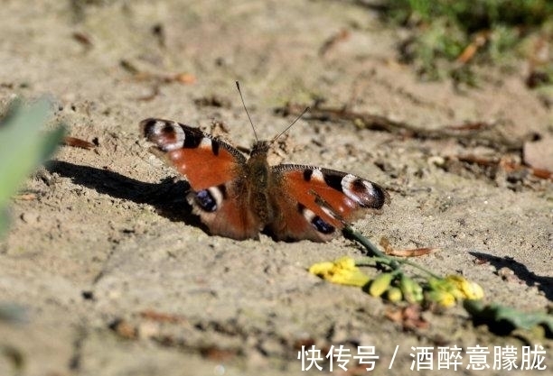 情定余生|还有一周，爱火复燃，旧情回暖，爱情逆转，再度携手，情定余生