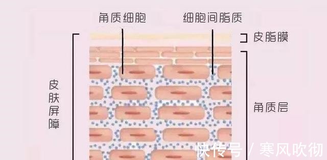 学生党 值得推荐的8款平价护肤品，适合学生党的护肤品！