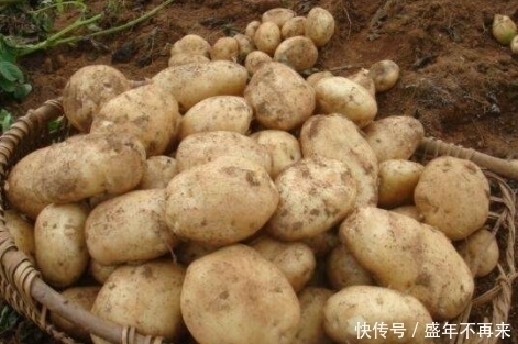 当心|土豆虽好,但吃完土豆后要当心,切忌碰此物,现在清楚还不晚