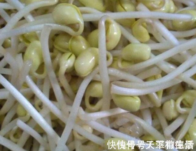 怀孕期间|女人怀孕期间,尽量多吃4种“零嘴”,补充孕酮对胎儿发育有益处