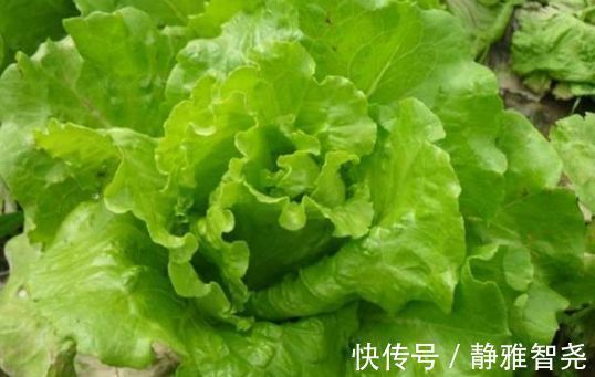 维生素c|人到中年想长寿,要坚持吃3种食物,美容养颜、滋补身体!