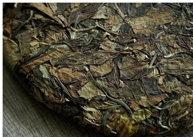  白茶起源于什么时候？ 白茶入门，从这篇文章开始，了解白茶！