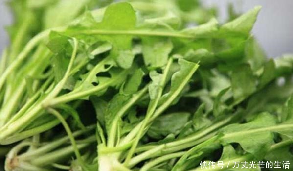 三月底,寧可少吃豬肉也別錯過這菜,口臭沒了,排出毒素一身輕松