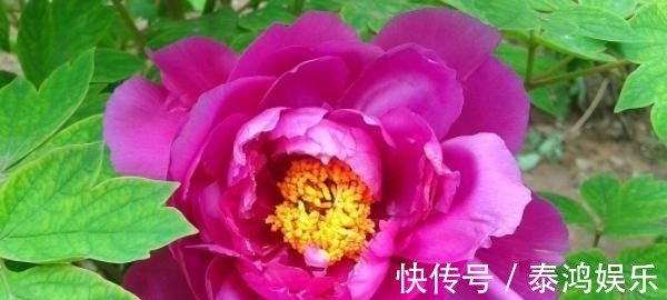 求饶@君子易处小人难防,击垮小人的4大妙计,学会一招小人跪地求饶!