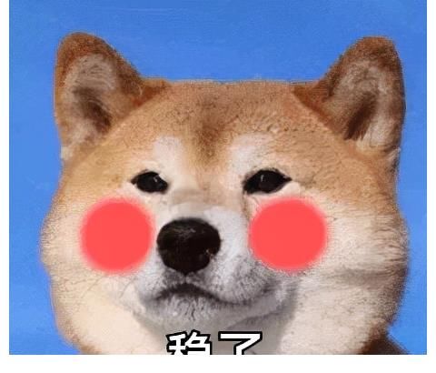 天呐，这个嘉宾阵容也太上头了吧