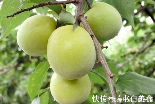 有机酸|女性睡觉前当零食吃几颗，淡化色斑，减少皱纹，皮肤更加细嫩光滑