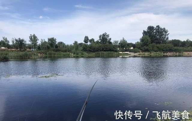 野塘垂钓什么钓位好光有水草不够,这样选才能连竿上鱼