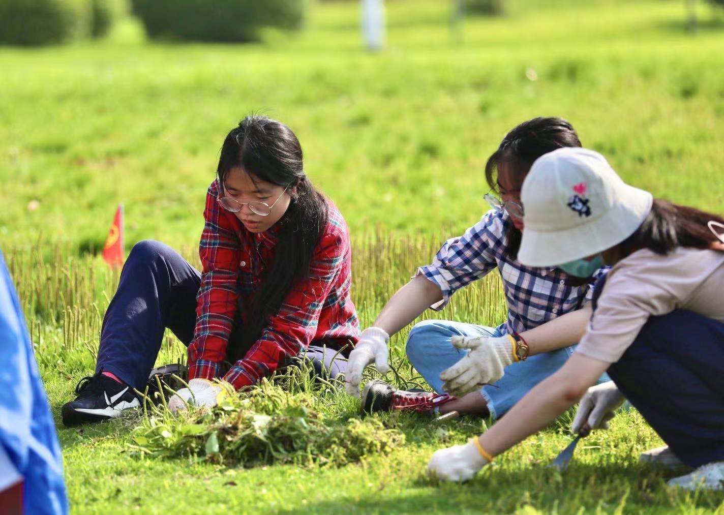 绿化|会写代码、做设计，还得会园艺！5月劳动月，上海交大校园景观设计和维持由全体学生分片承包