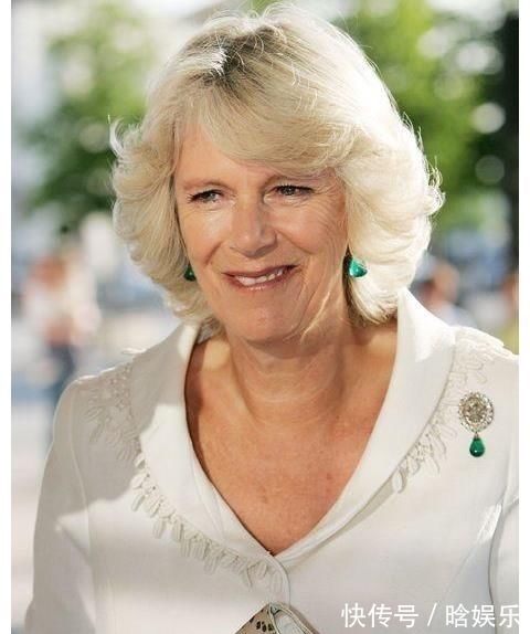 戴安娜王妃 戴对胸针的卡米拉好美,一枚简约的祖母绿胸针,映衬的她优雅大气