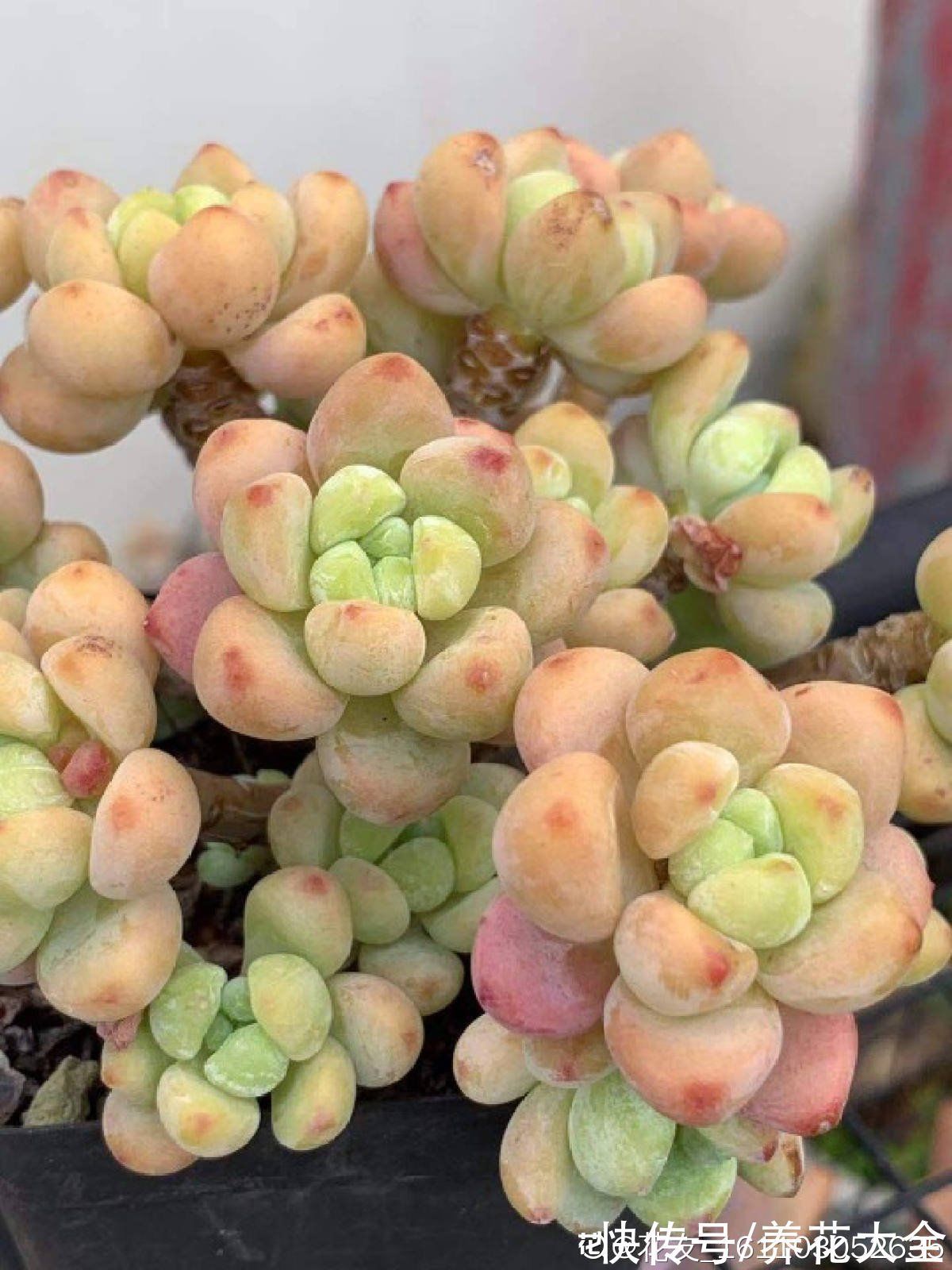 小生意|今年下半年起,农村严查3种“小生意”,严重的会被直接判刑