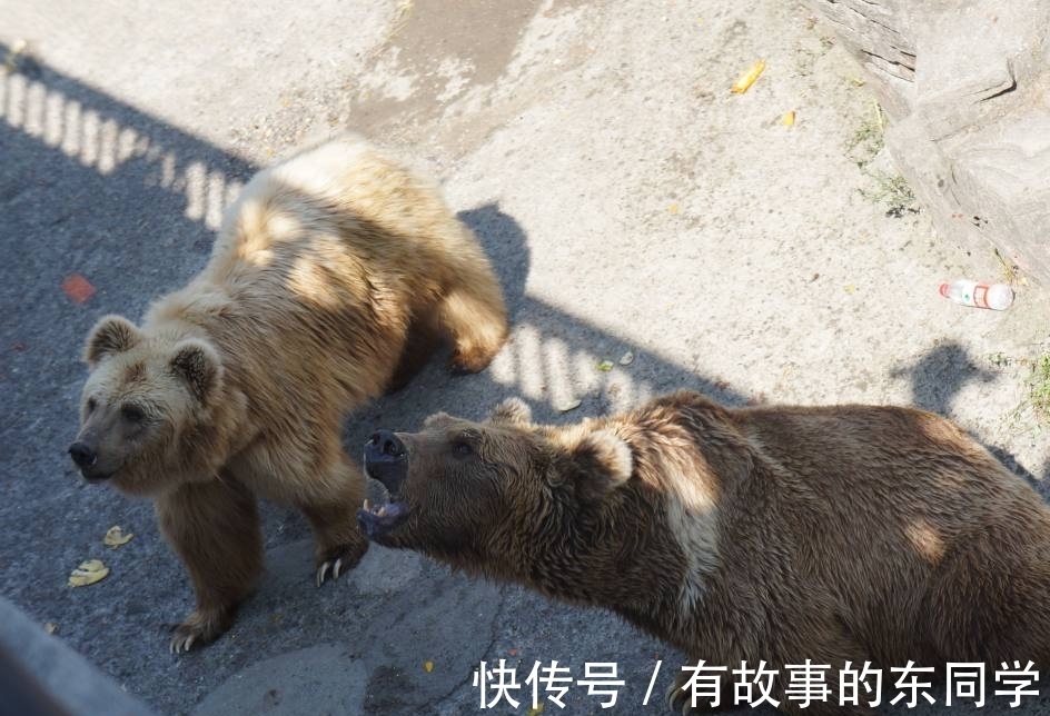 苏东坡$5副暗藏玄机的谜语对联,对仗工整,文采出众,令人拍案叫绝