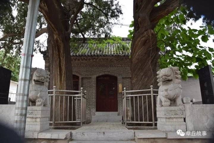  善财|鸳鸯柏的传说