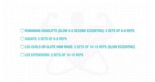 腘绳肌|几块“易被忽视训练”的重要肌肉,可能影响你的训练质量!