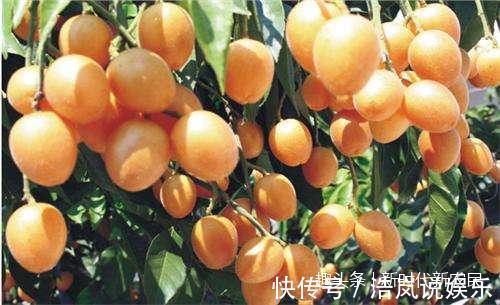 女人|夏天吃这果子，美容养颜、预防中暑，女人一定要多吃