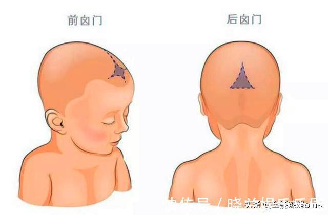 头围|宝宝囟门是健康“灯塔”,若出现几种信号,可能健康亮了“红灯”