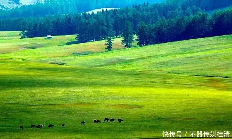 在天山脚下，有一座宝藏小城，名气虽不如伊犁，但美景如画卷