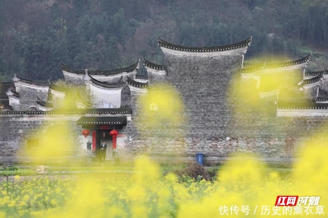 零陵：油菜花映周家大院 遍地金黄美到爆（组图）