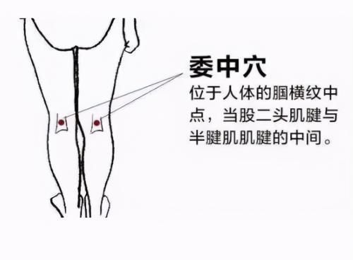 穴位|湿气重，吃不下，睡不香，老中医敲打我这些地方，居然好多了