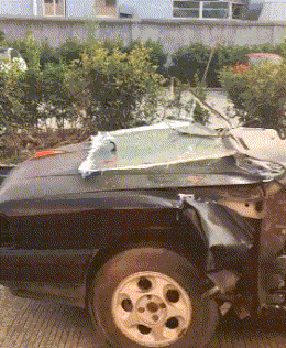 |搞笑GIF:第一次结婚没经验,岳父在上,小婿先干为敬