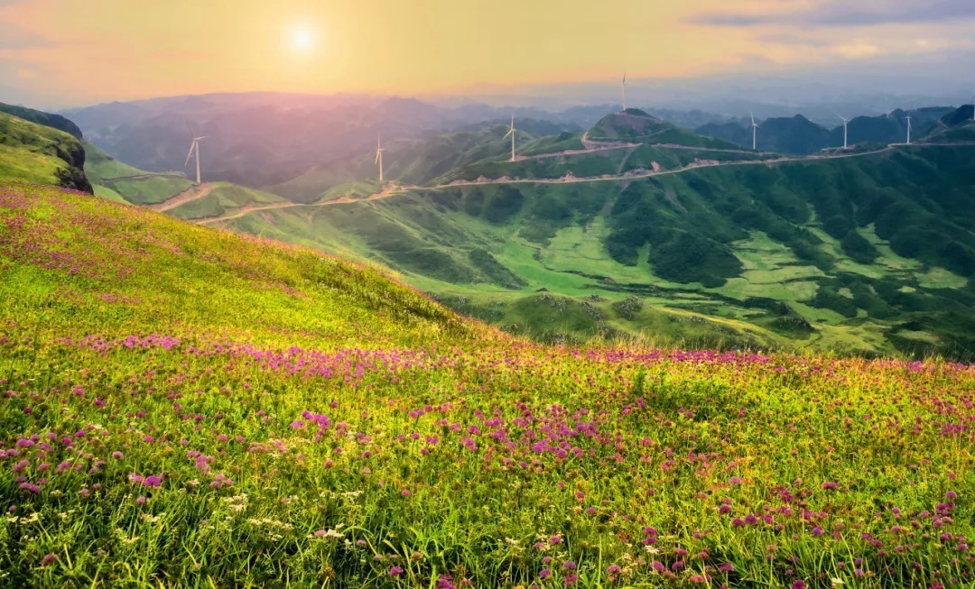 谷狭|走，去毕节，过21℃的夏天！