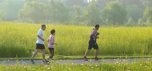 “高嘌呤”食物揭晓,赶紧撤下饭桌谨记一勤、二多,痛风不敢来