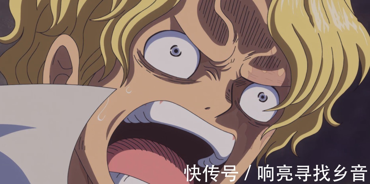 被捕|海贼王熊被天龙人当成坐骑，萨博被捕，龙真的是位好领导吗