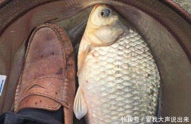 大鱼吃钩总在不经意间,为何别人能钓获大鱼,而你经常切线断钩